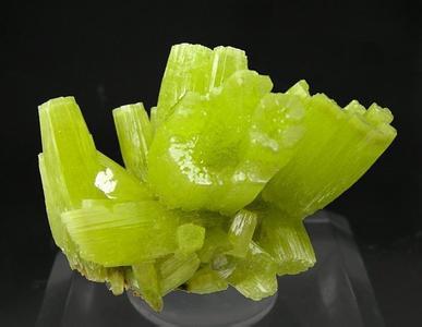 图片79.jpg